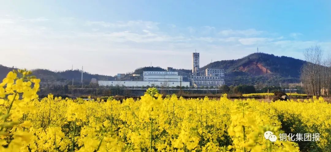 南宫NG28官网-不凡成绩非凡,相信品牌的实力