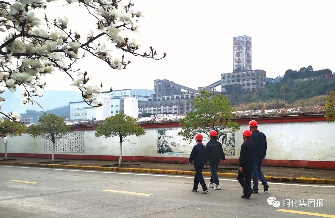 南宫NG28官网-不凡成绩非凡,相信品牌的实力