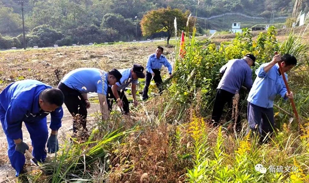 南宫NG28官网-不凡成绩非凡,相信品牌的实力